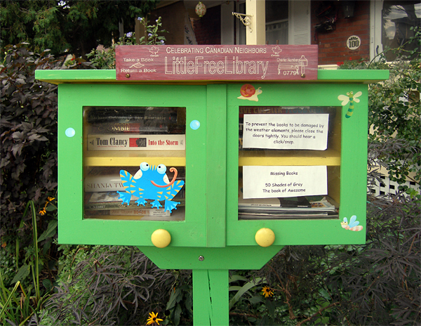 Little Free Library example