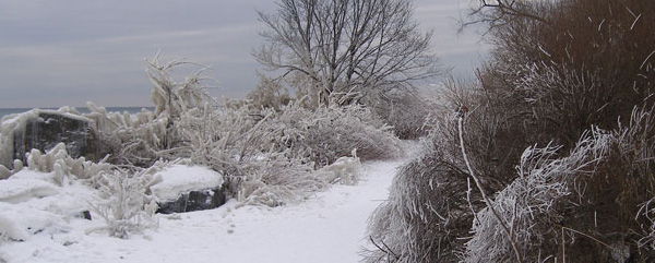 ashbriges_wonderland