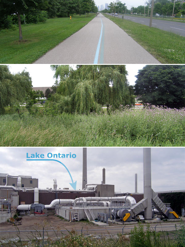 lakeshore-martin-goodman